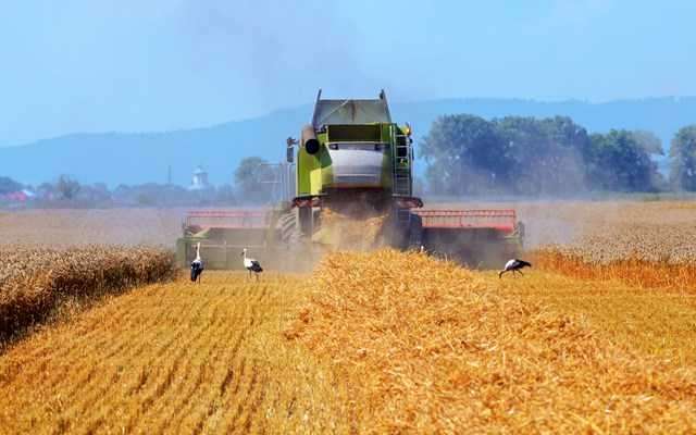 ΕΕ: "Λιγότερη γραφειοκρατία" για τους αγρότες